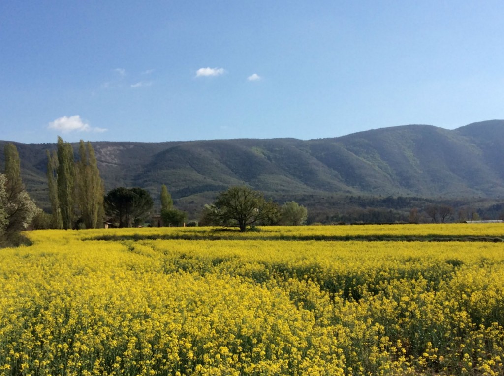 vue sur le Grand Luberon