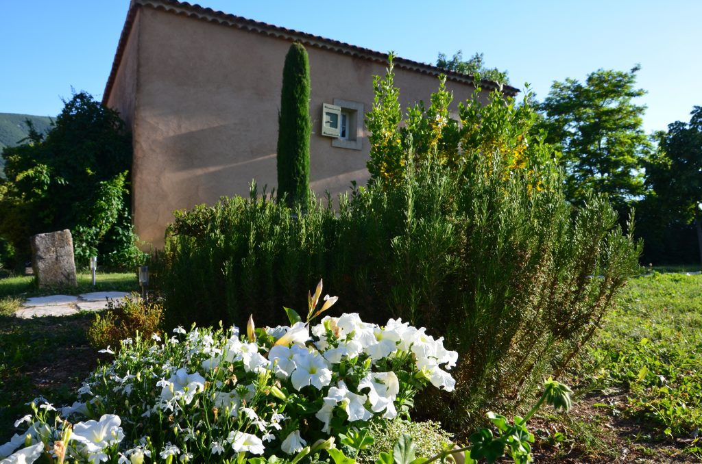 jardin du Mas de L'Olivier à Céreste