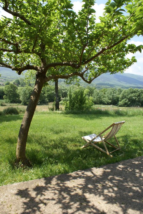 jardin face au Luberon