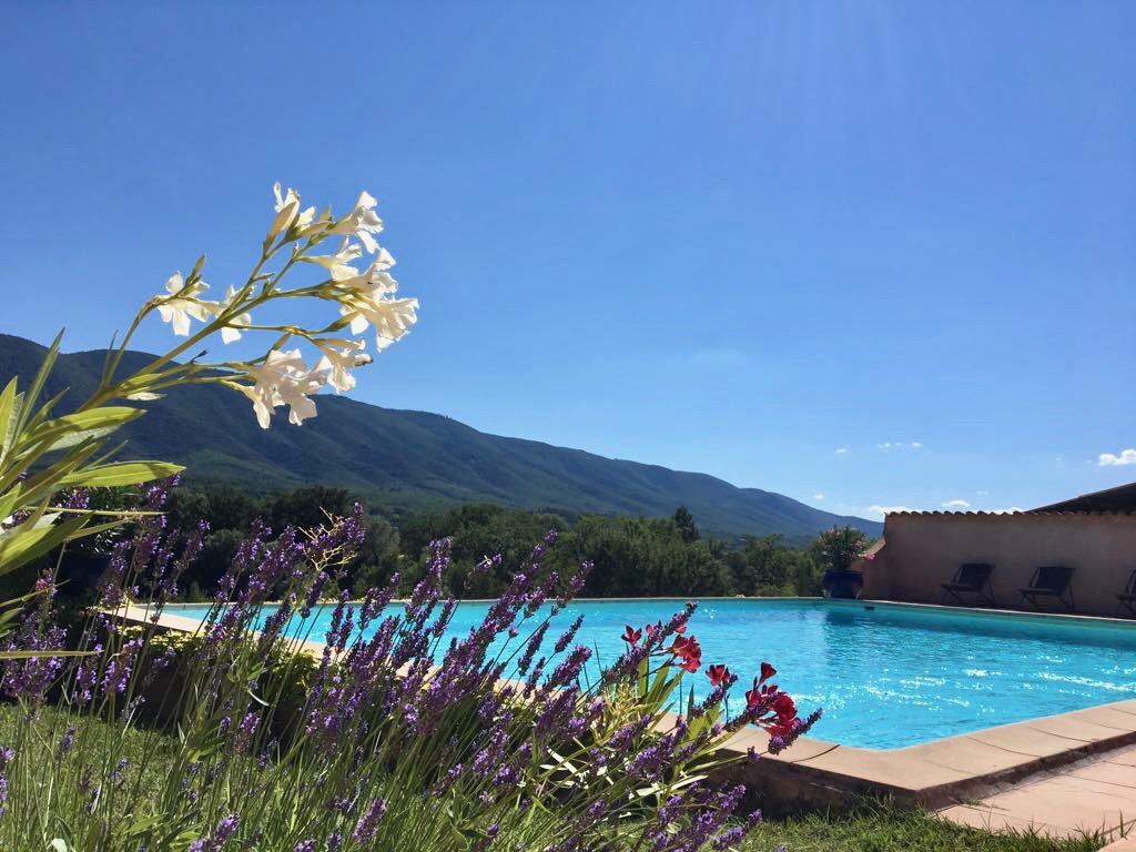 piscine et lauriers roses