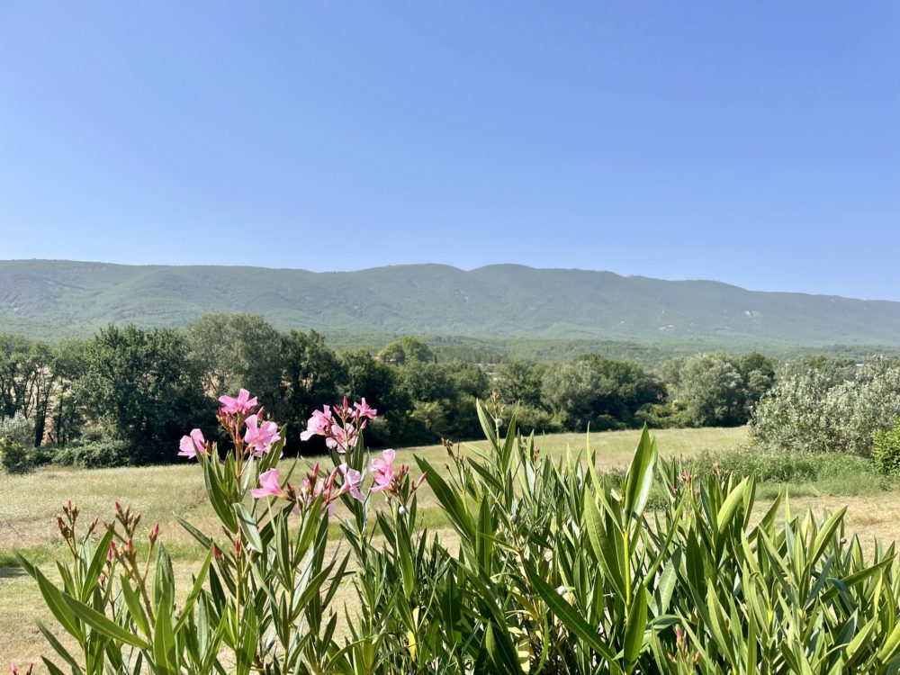 Vue sur le Grand-Luberon depuis le jardin de la Bastide 1830 à Céreste