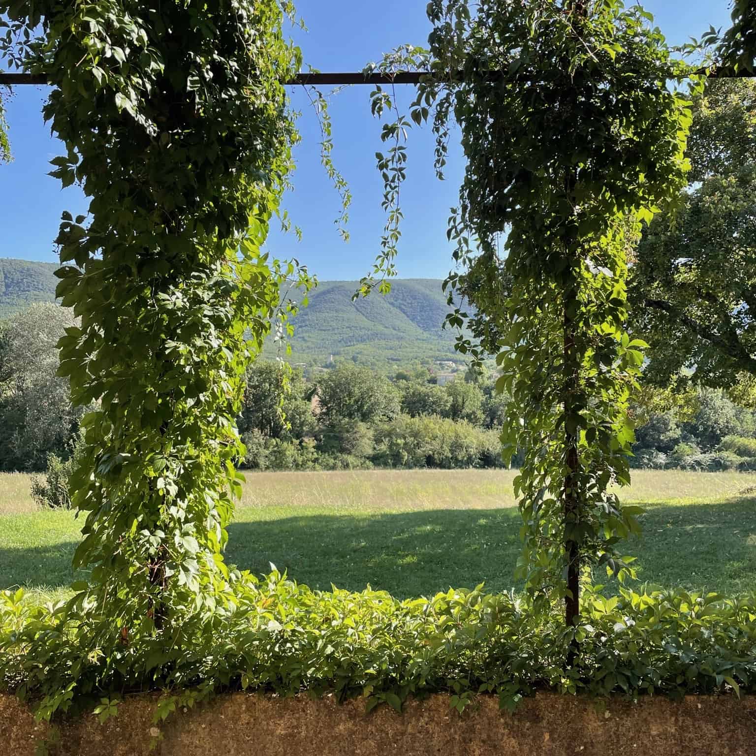 mas du luberon jardin