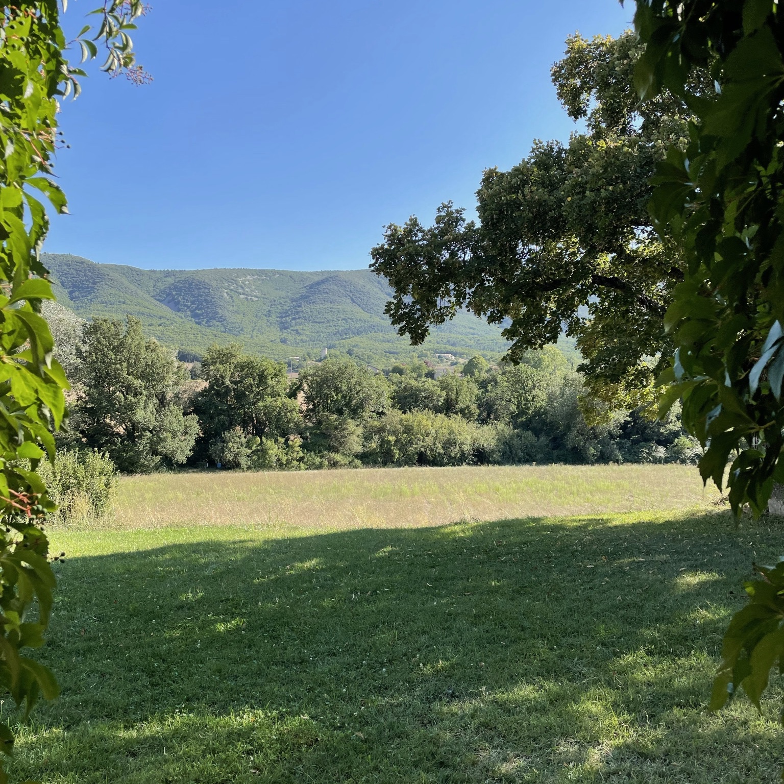 jardin du mas du luberon avec une vue superbe sur le luberon